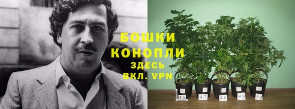 стафф Зеленодольск