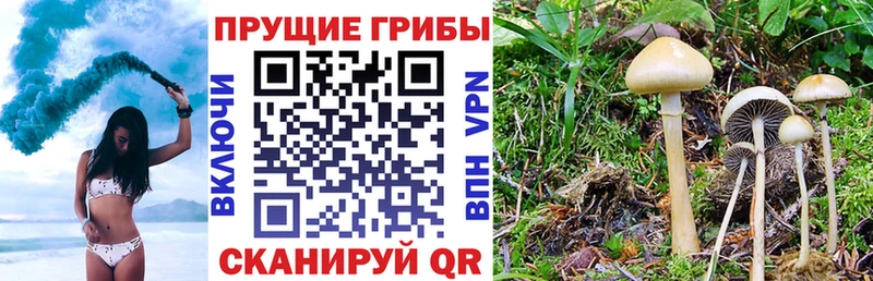 Галлюциногенные грибы ЛСД  Мензелинск 